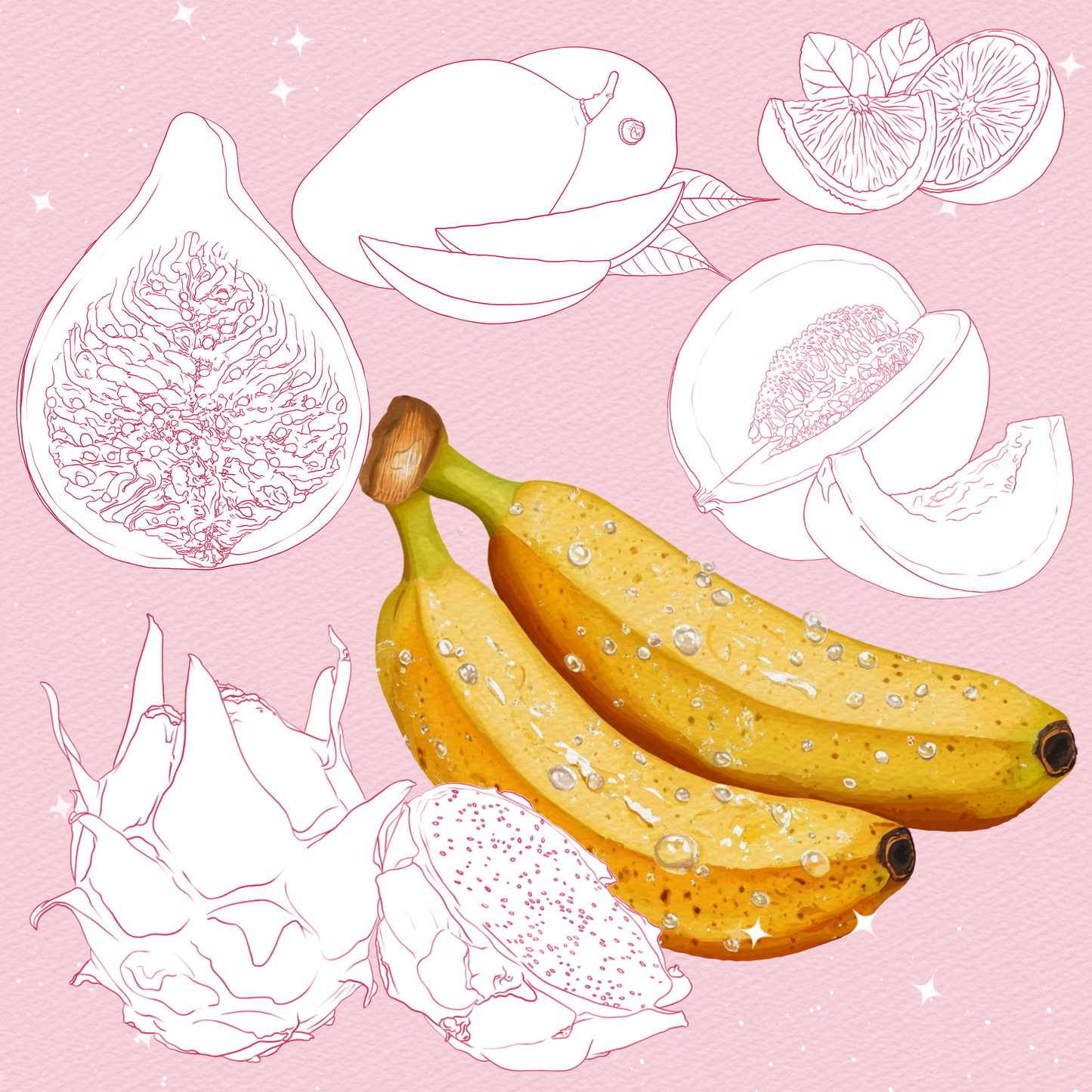 Procreate Sweets 브러시 – 포토샵 베이커리 & 케이크 브러시 | 클립 스튜디오 캔디 & 과일 세트