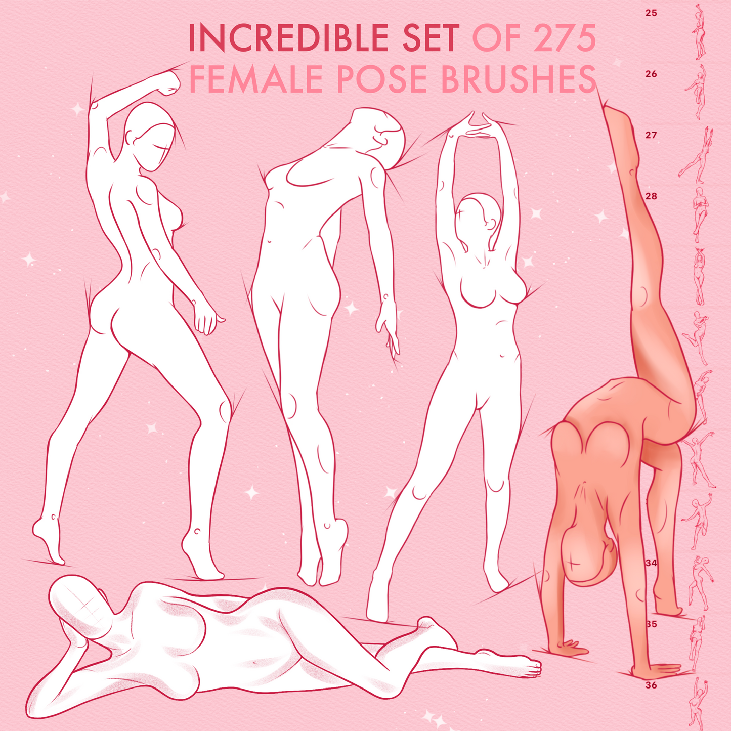 Procreate Female Pose Brushes – Photoshop Dynamic Fashion Models & Pose Stamps