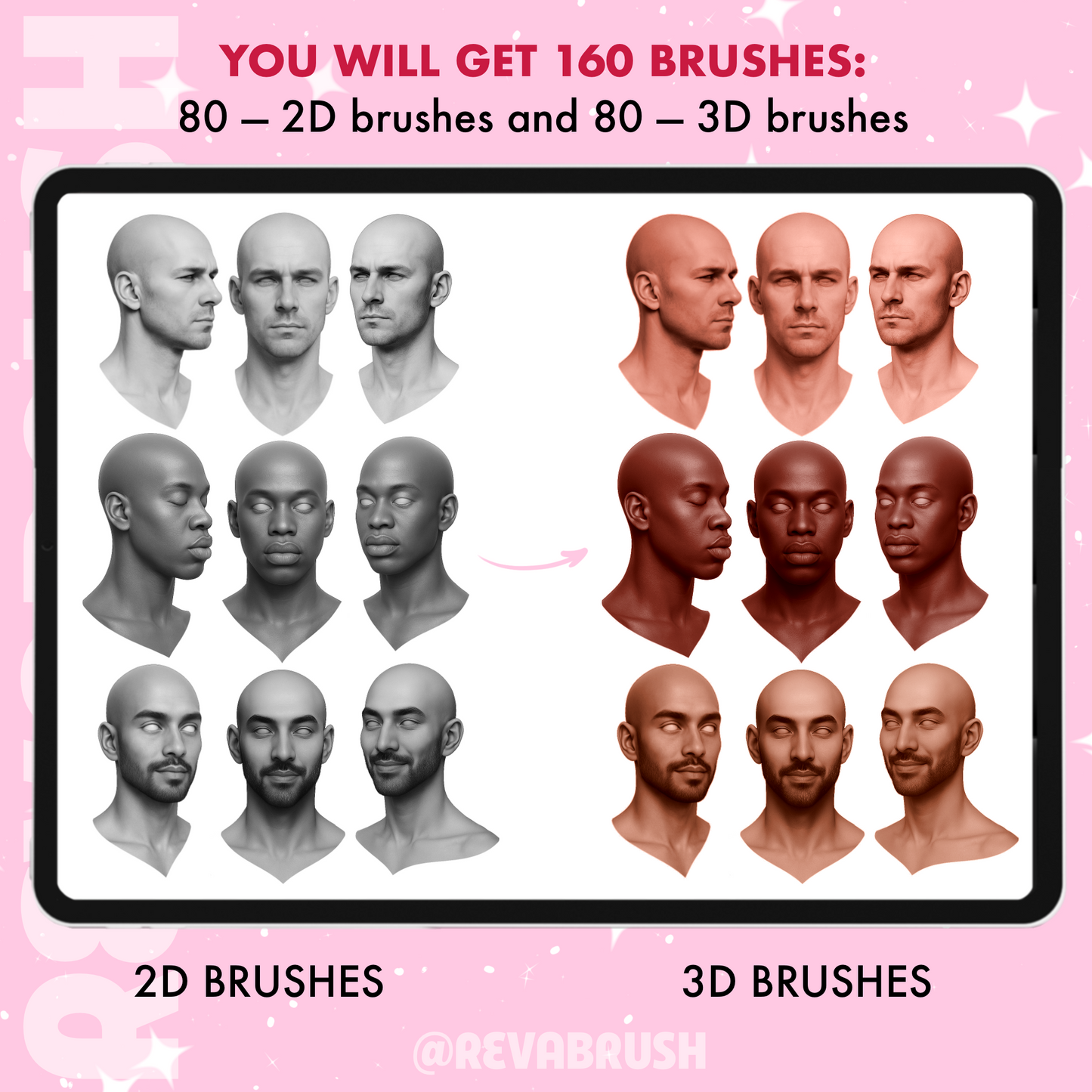 80 Male Portrait & Face Guide Brushes – Procreate & Photoshop
