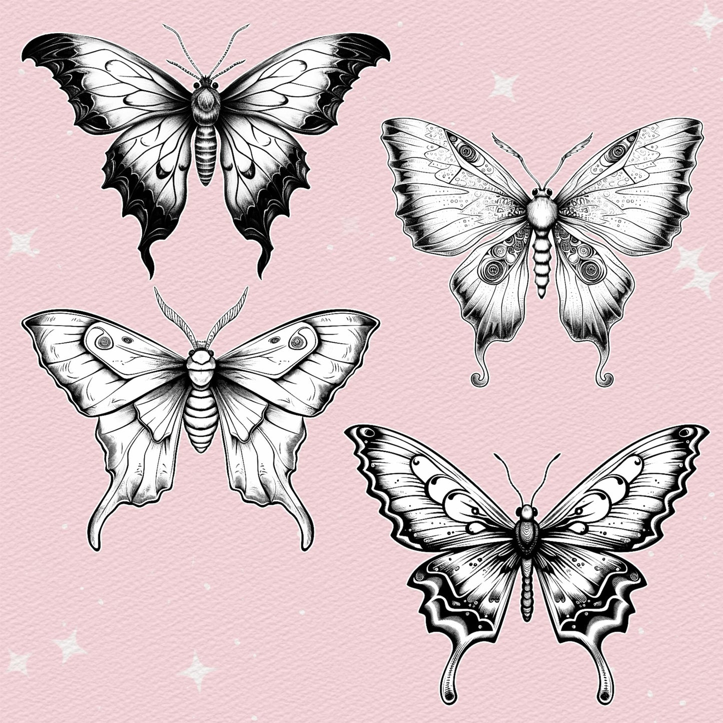 Procreate Butterfly Brushes – Tattoo Animal Brushes for Photoshop | Clip Studio & Affinity Moth Brush Set