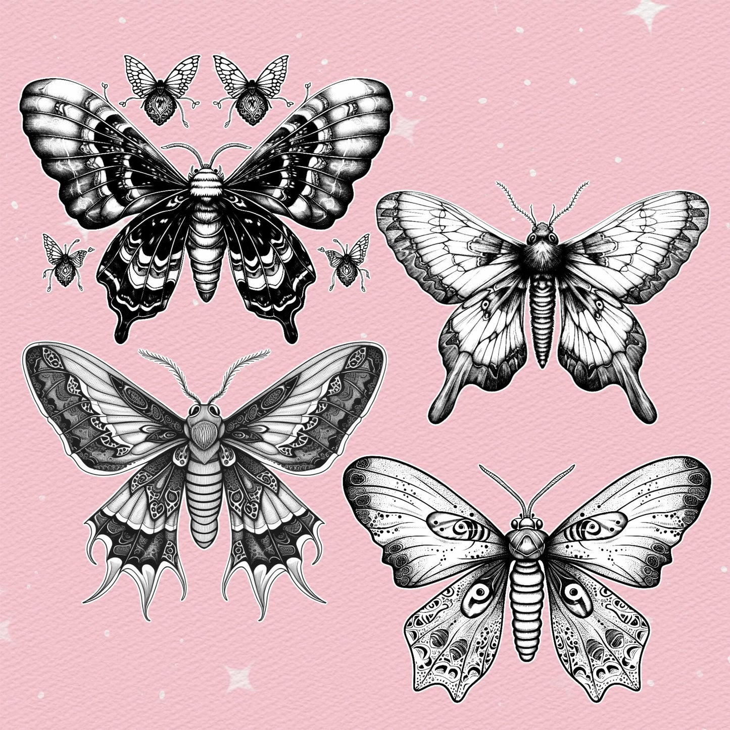 Procreate Butterfly Brushes – Tattoo Animal Brushes for Photoshop | Clip Studio & Affinity Moth Brush Set