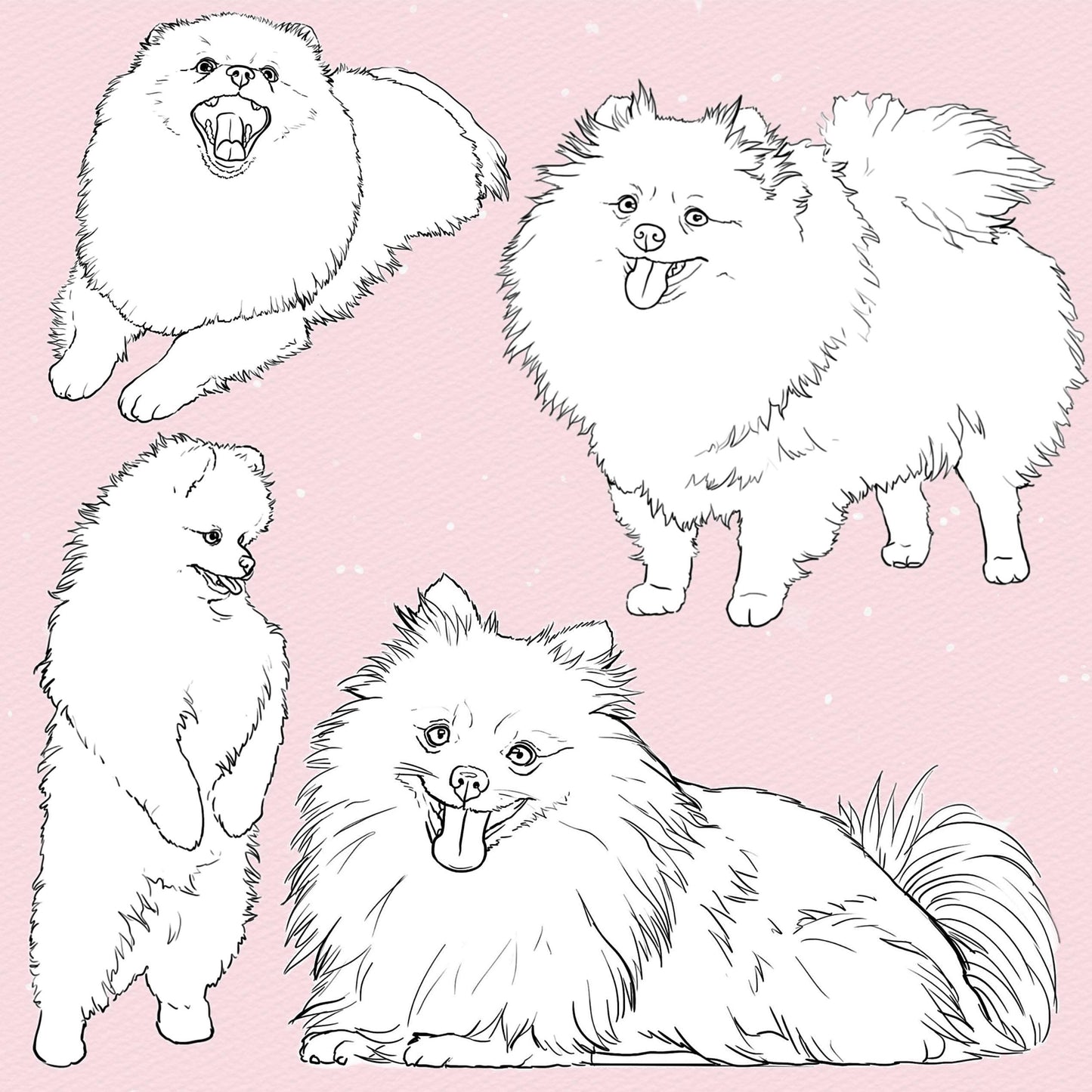 70 Dog & Fur Brushes for Procreate & Photoshop – Spitz & Pet Portrait Set