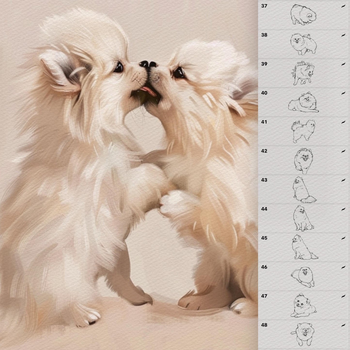 70 Dog & Fur Brushes for Procreate & Photoshop – Spitz & Pet Portrait Set