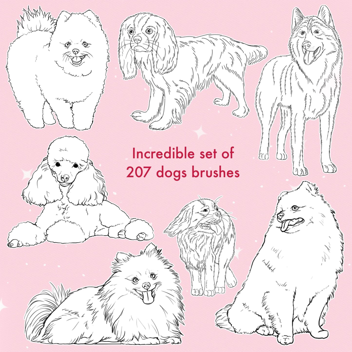 Procreate Dog Brushes – Photoshop & Clip Studio Poodle, Spitz, Husky & King Charles Brush Set