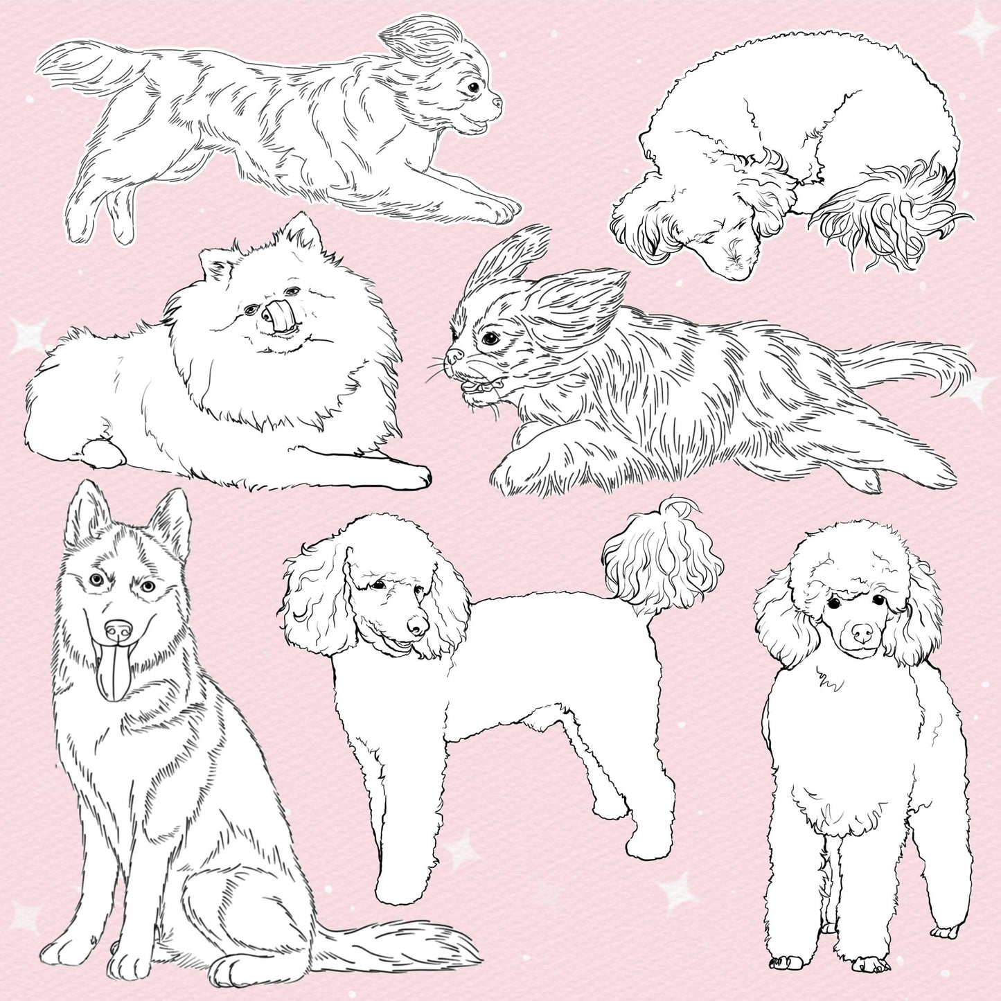 Procreate Dog Brushes – Photoshop & Clip Studio Poodle, Spitz, Husky & King Charles Brush Set