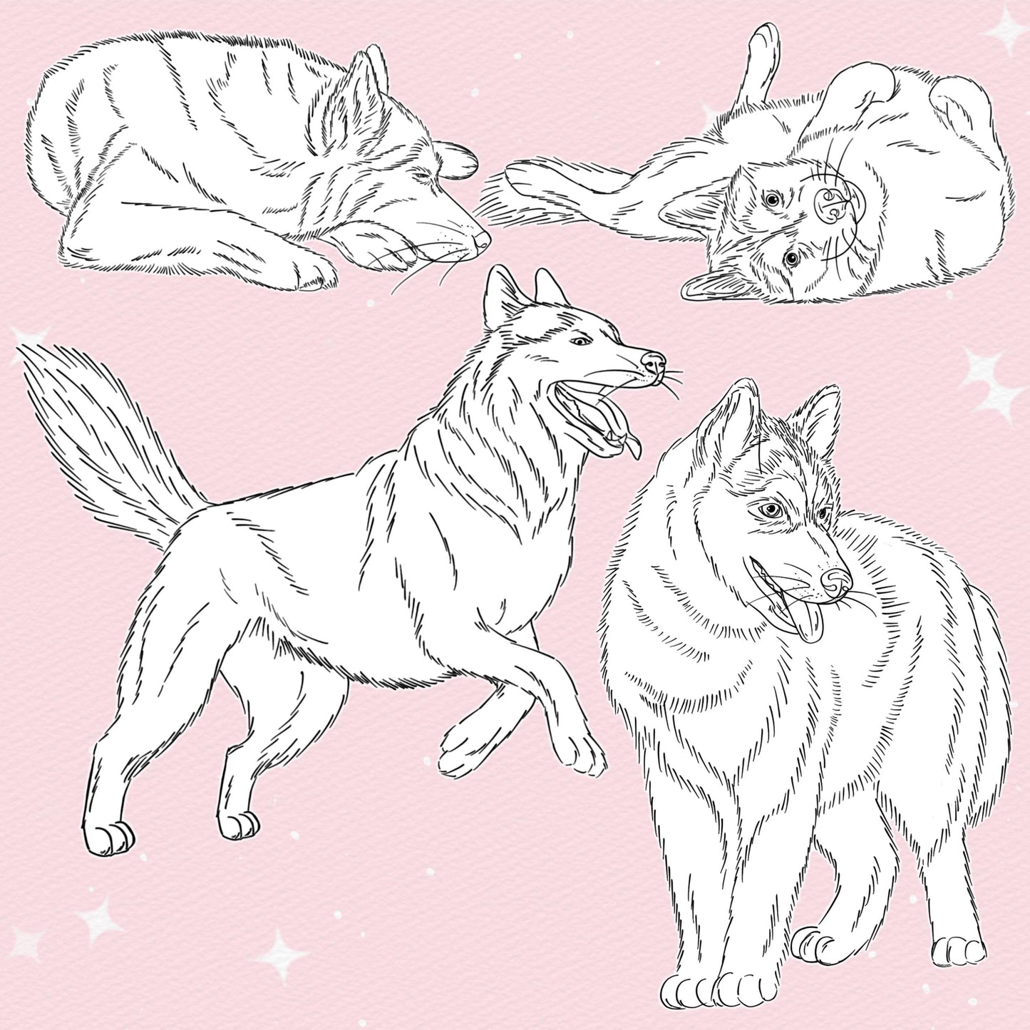 50 Dog & Husky Brushes for Procreate & Photoshop – Animal Portrait Set