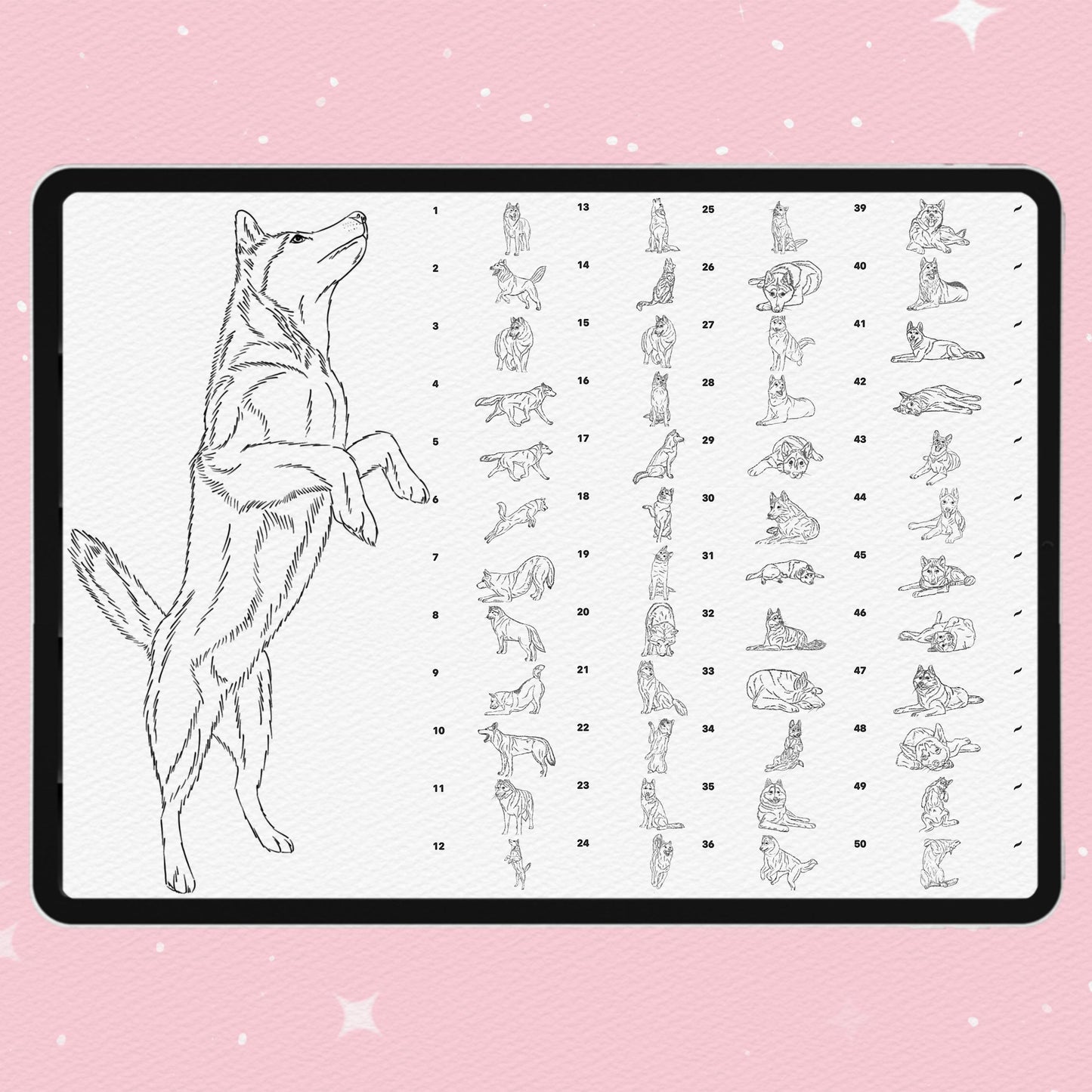 50 Dog & Husky Brushes for Procreate & Photoshop – Animal Portrait Set