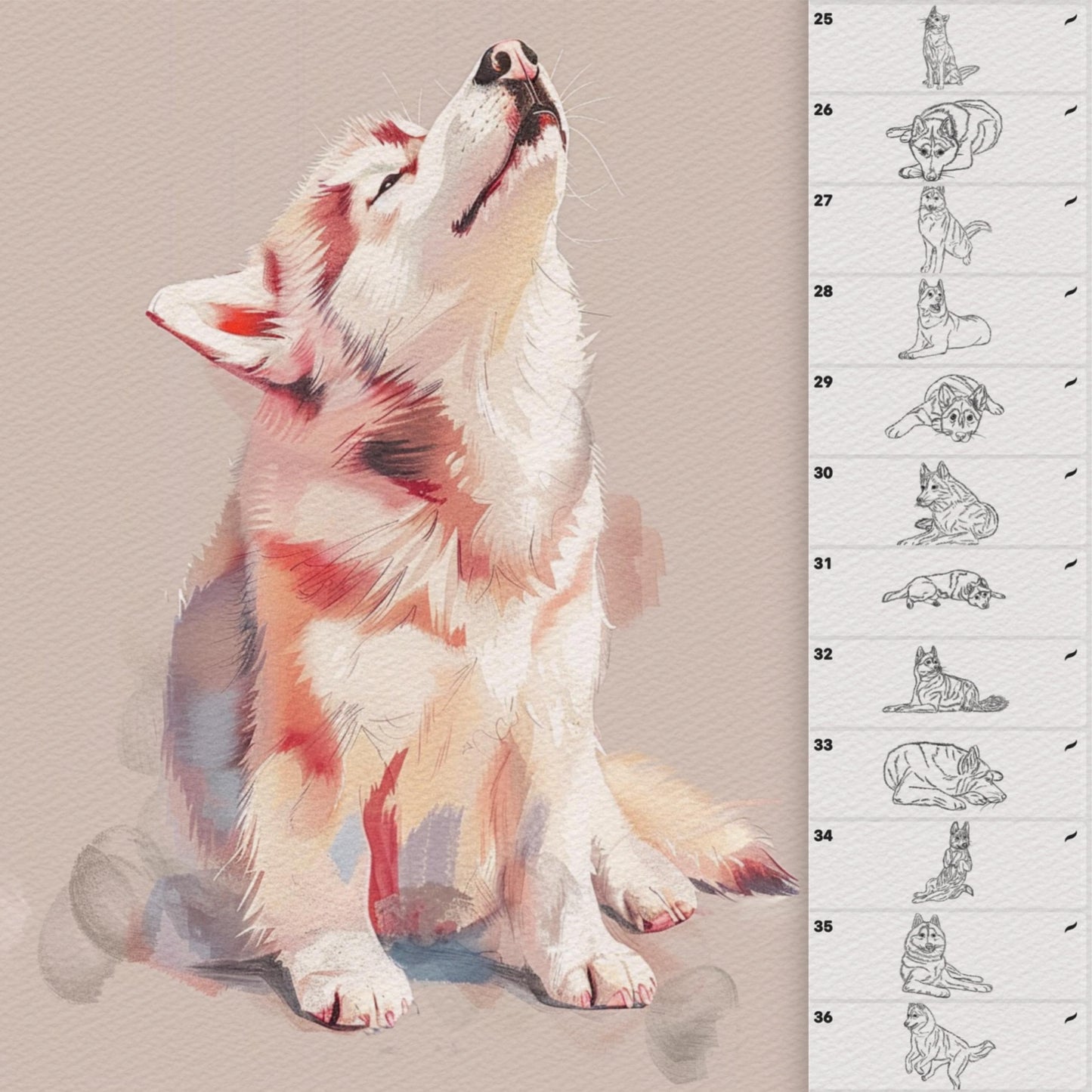 50 Dog & Husky Brushes for Procreate & Photoshop – Animal Portrait Set