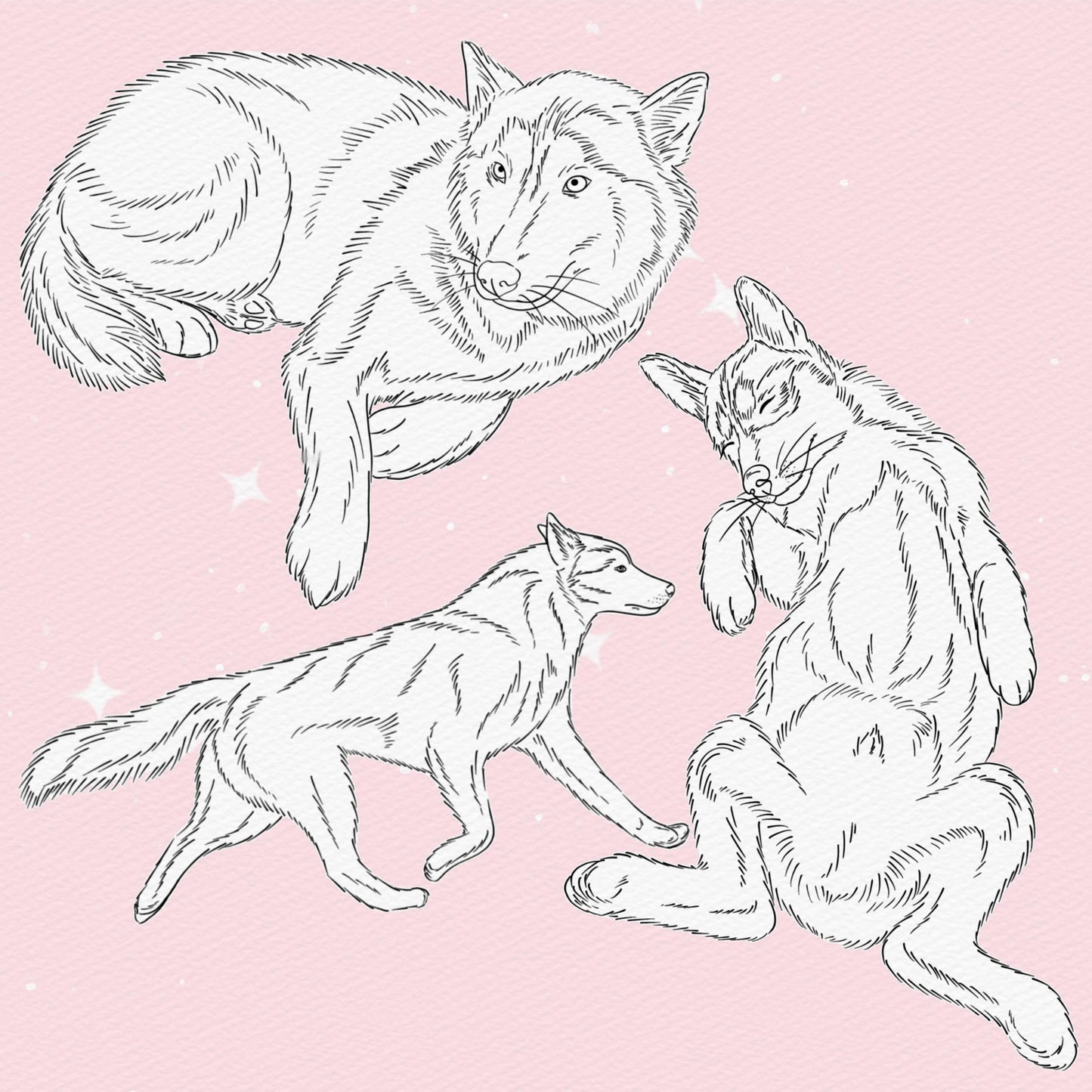 50 Dog & Husky Brushes for Procreate & Photoshop – Animal Portrait Set