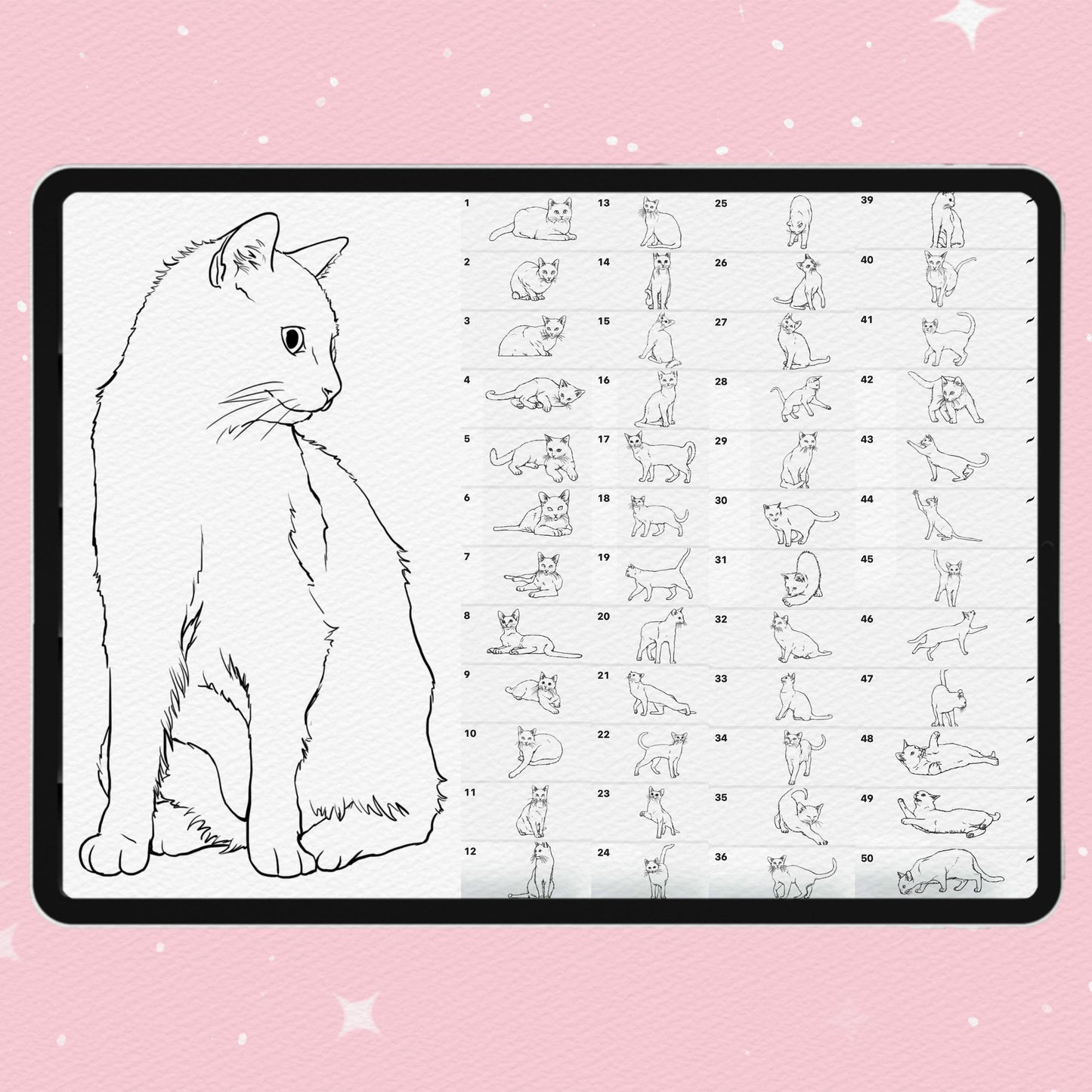 Procreate 및 Photoshop용 고양이 및 반려동물 초상화 브러시 50개 - 귀여운 동물 세트