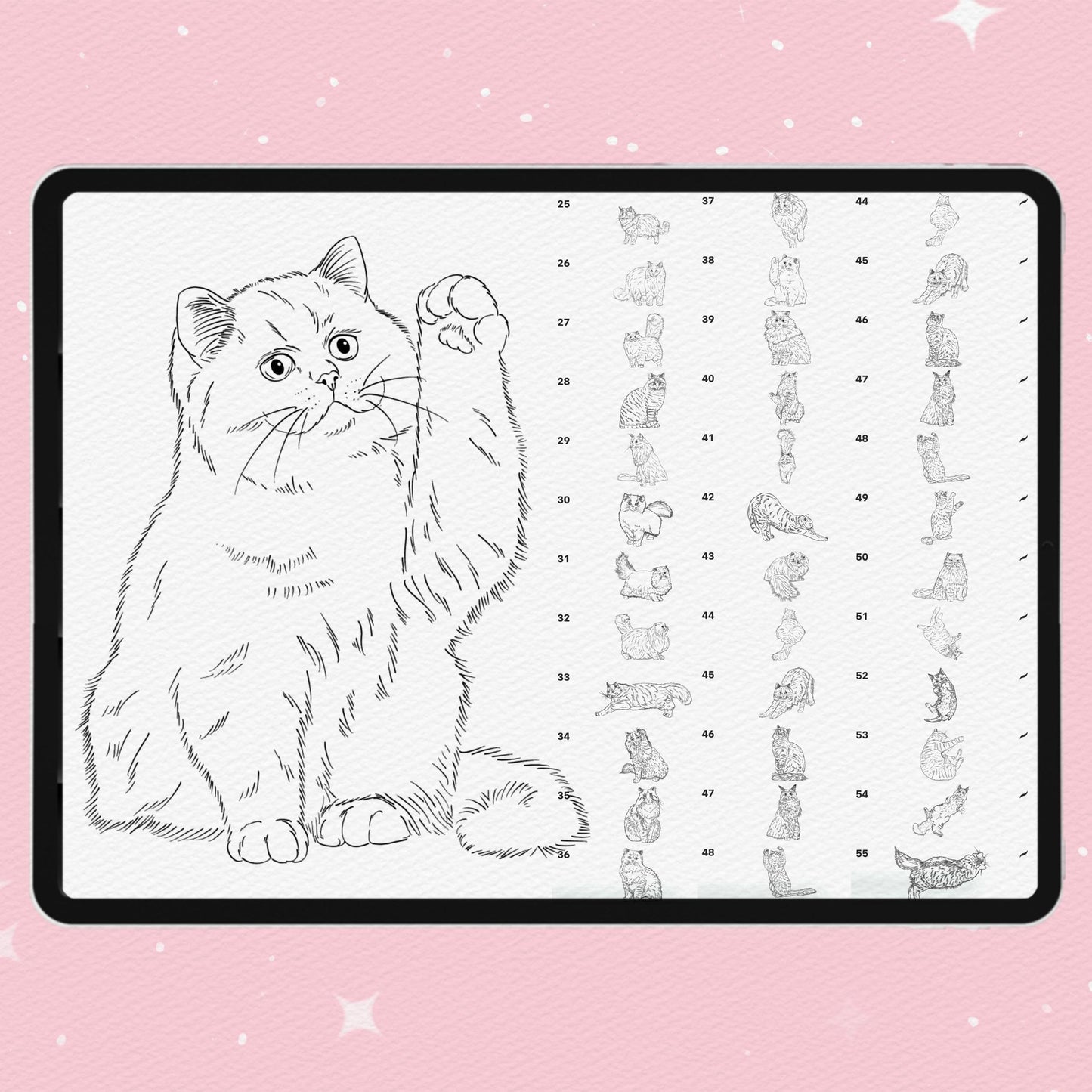Procreate & Photoshop용 고양이 & 푹신한 털 브러시 55개 - 귀여운 반려동물 초상화 세트