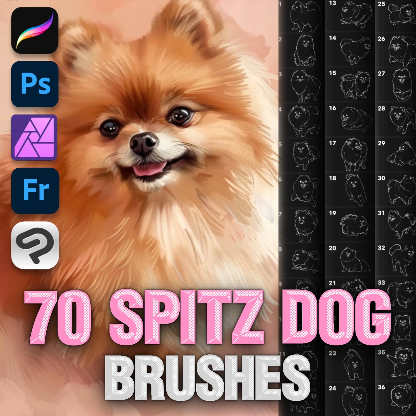 70 Dog & Fur Brushes for Procreate & Photoshop – Spitz & Pet Portrait Set