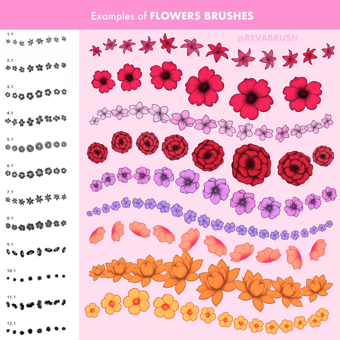 270 Flower Outline Brushes for Procreate – Floral Line Art Stamp Set