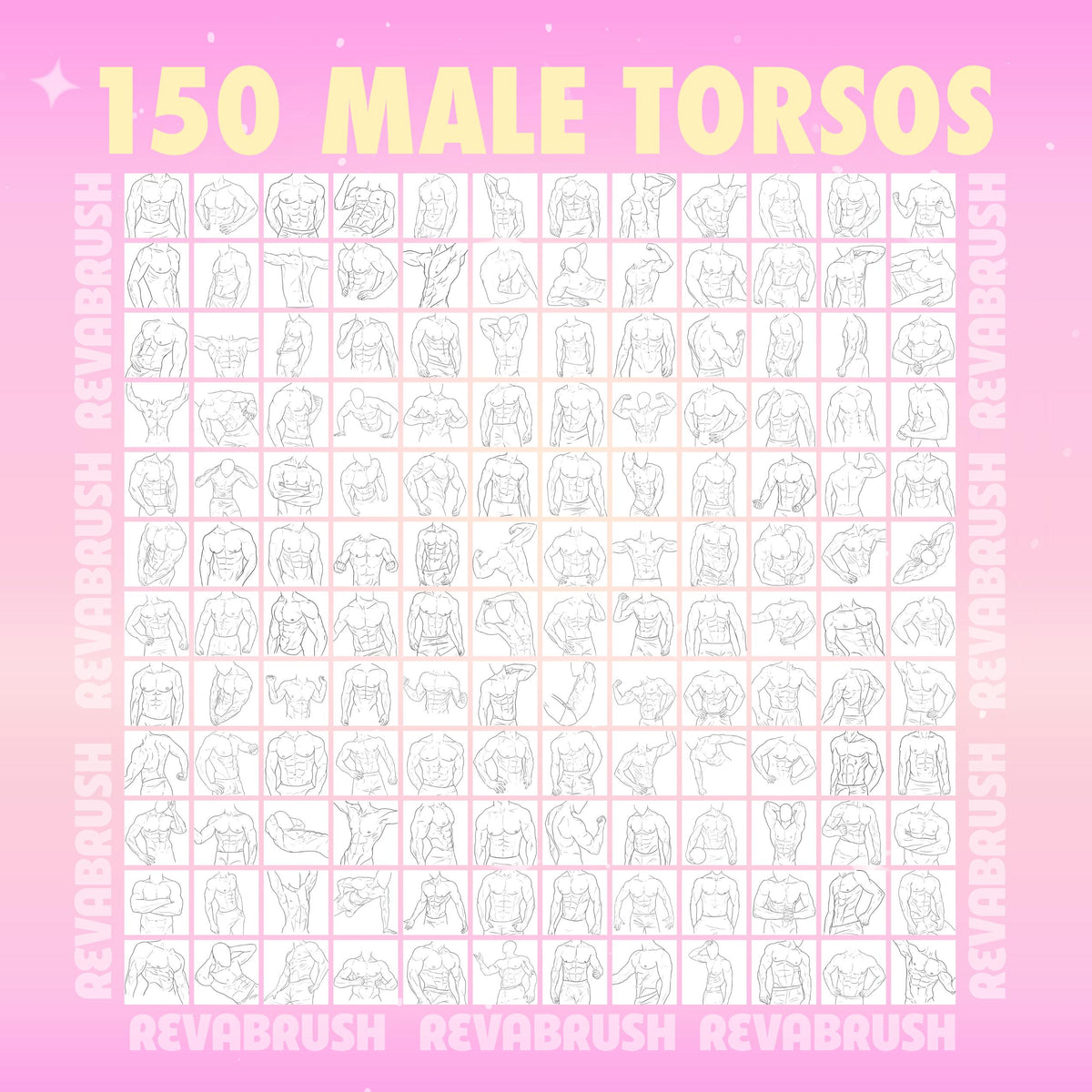 Procreate Male Torso Brushes – preview 3