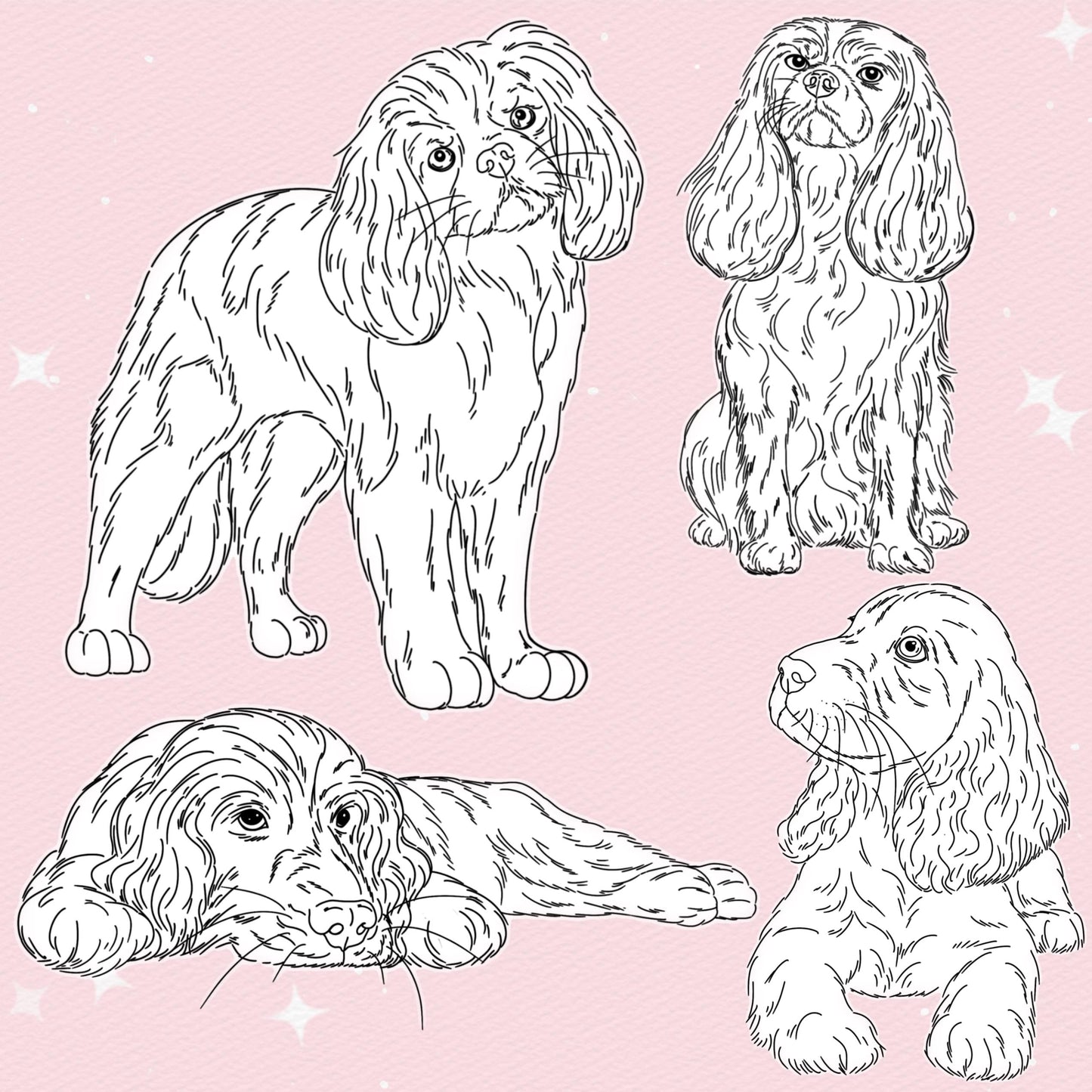37 Dog & Pet Portrait Brushes for Procreate & Photoshop – Charles King Set