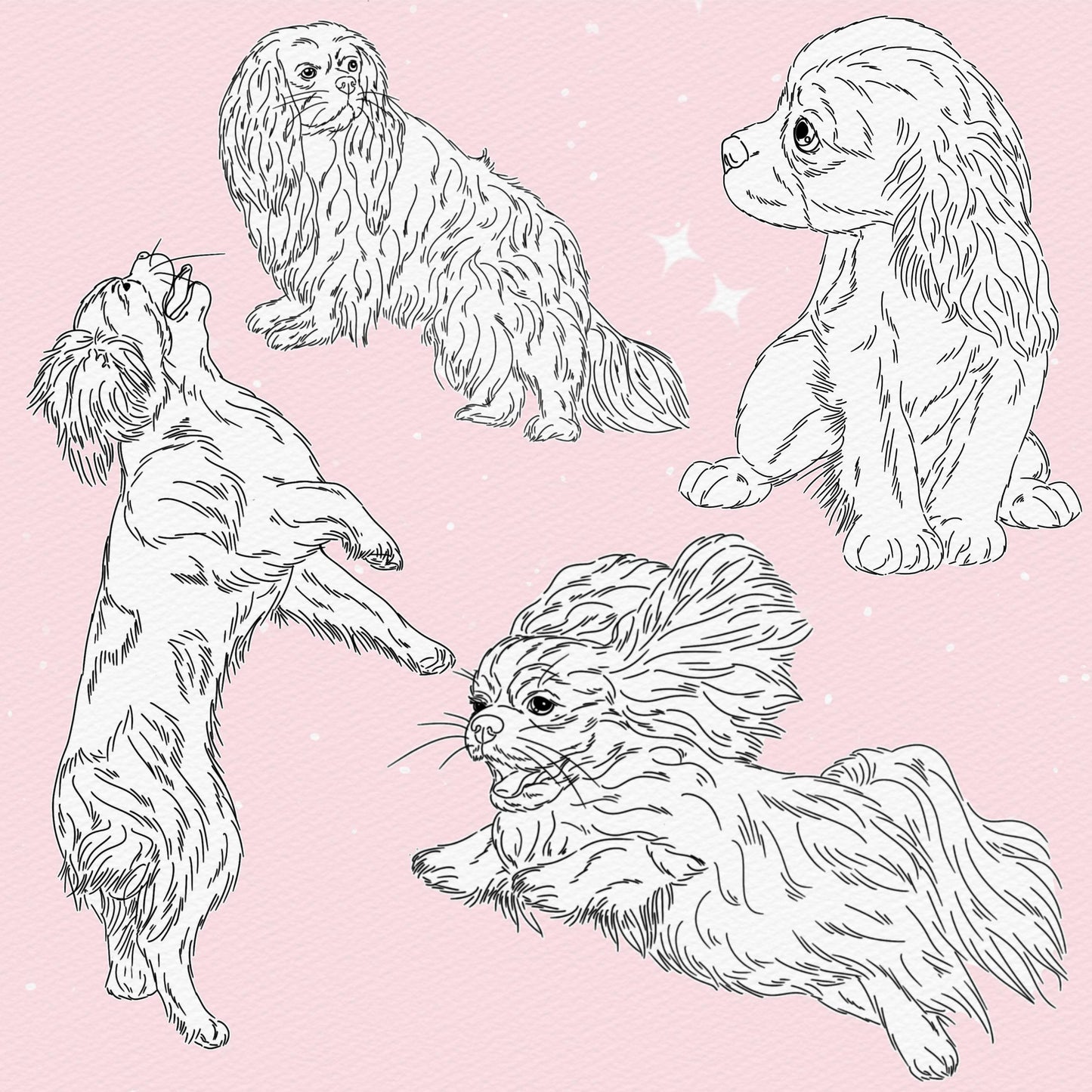37 Dog & Pet Portrait Brushes for Procreate & Photoshop – Charles King Set