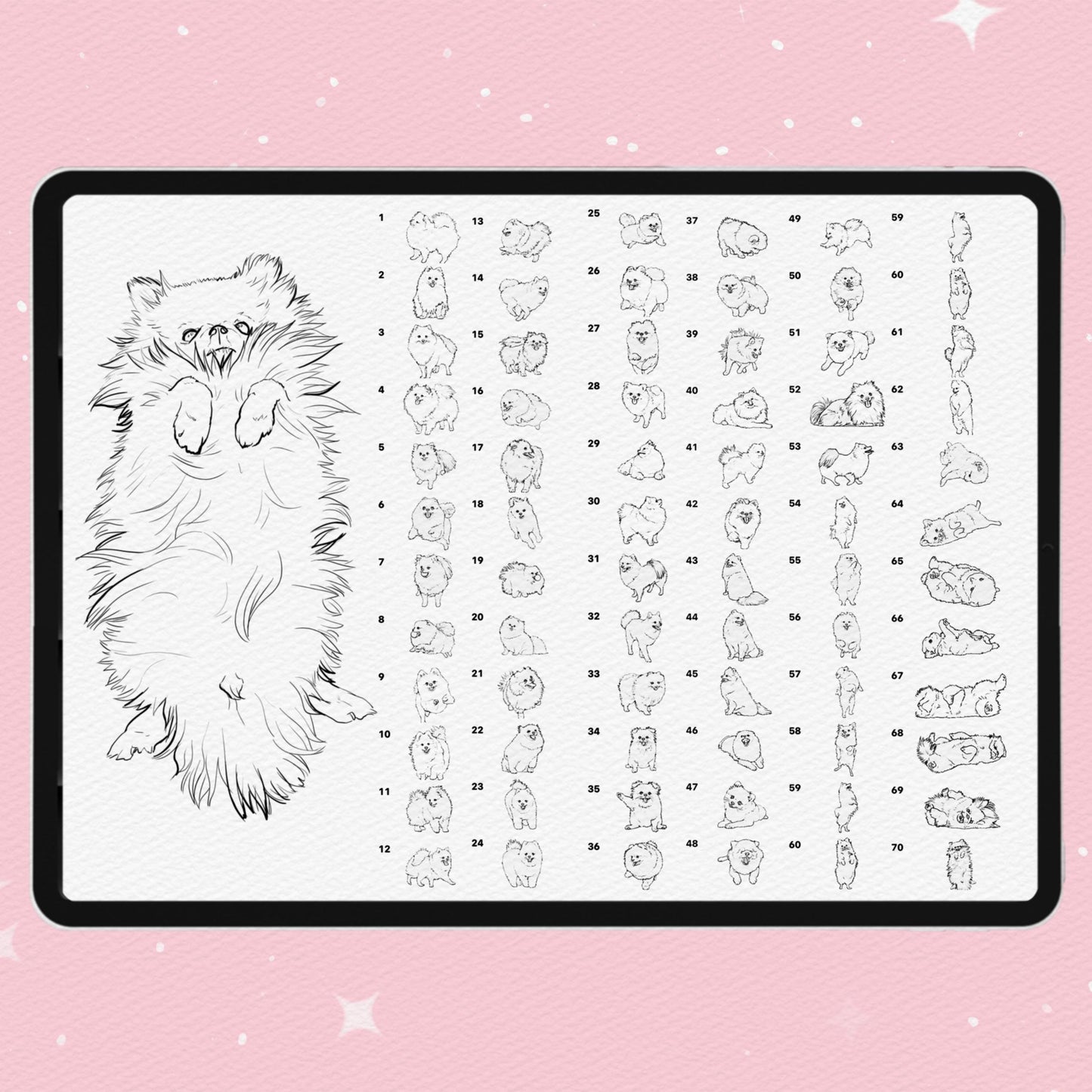 70 Dog & Fur Brushes for Procreate & Photoshop – Spitz & Pet Portrait Set