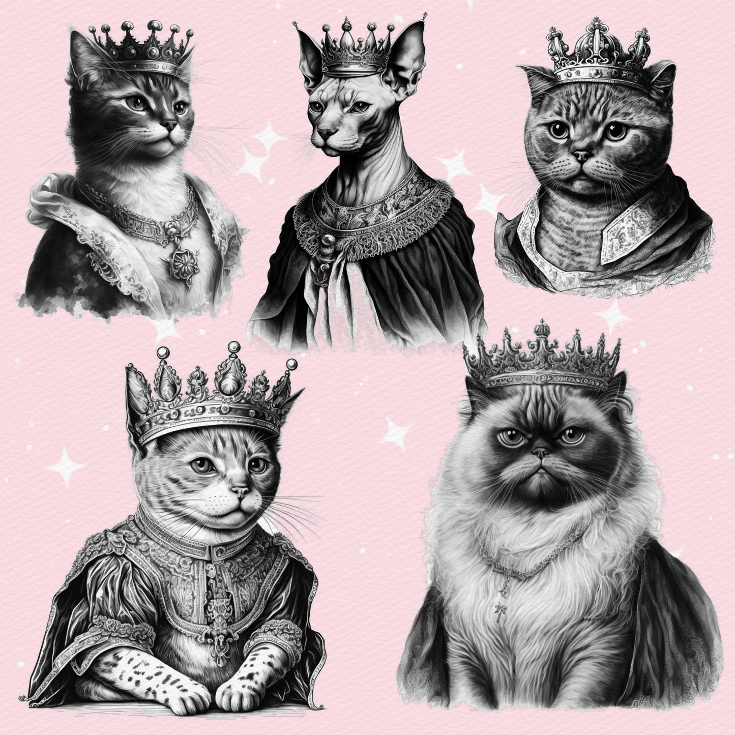 Procreate Cat Brushes – Photoshop Royal Cat in Crown, Pet Portrait & Tattoo Brushes, Clip Studio Set