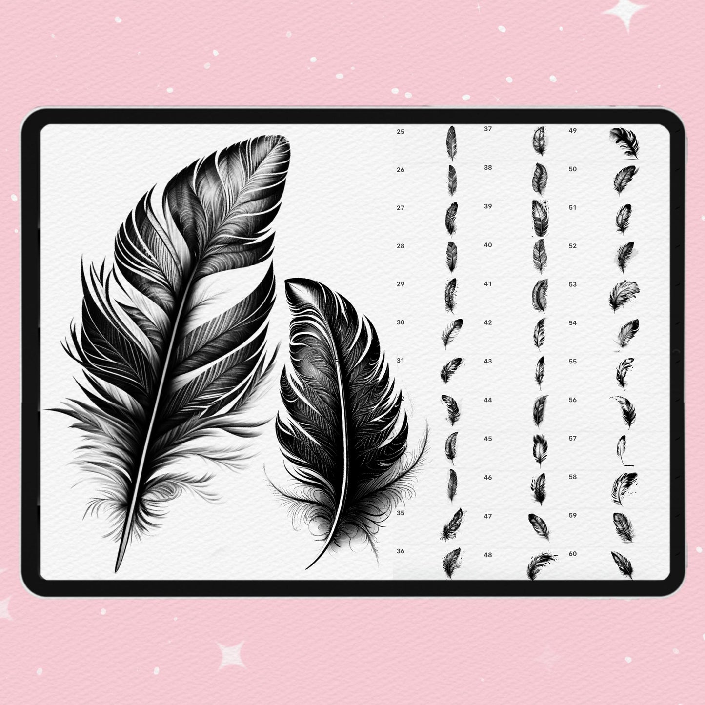 Feather Brushes for Procreate & Photoshop – Realistic Tattoo & Clip Studio Feather Brush Set