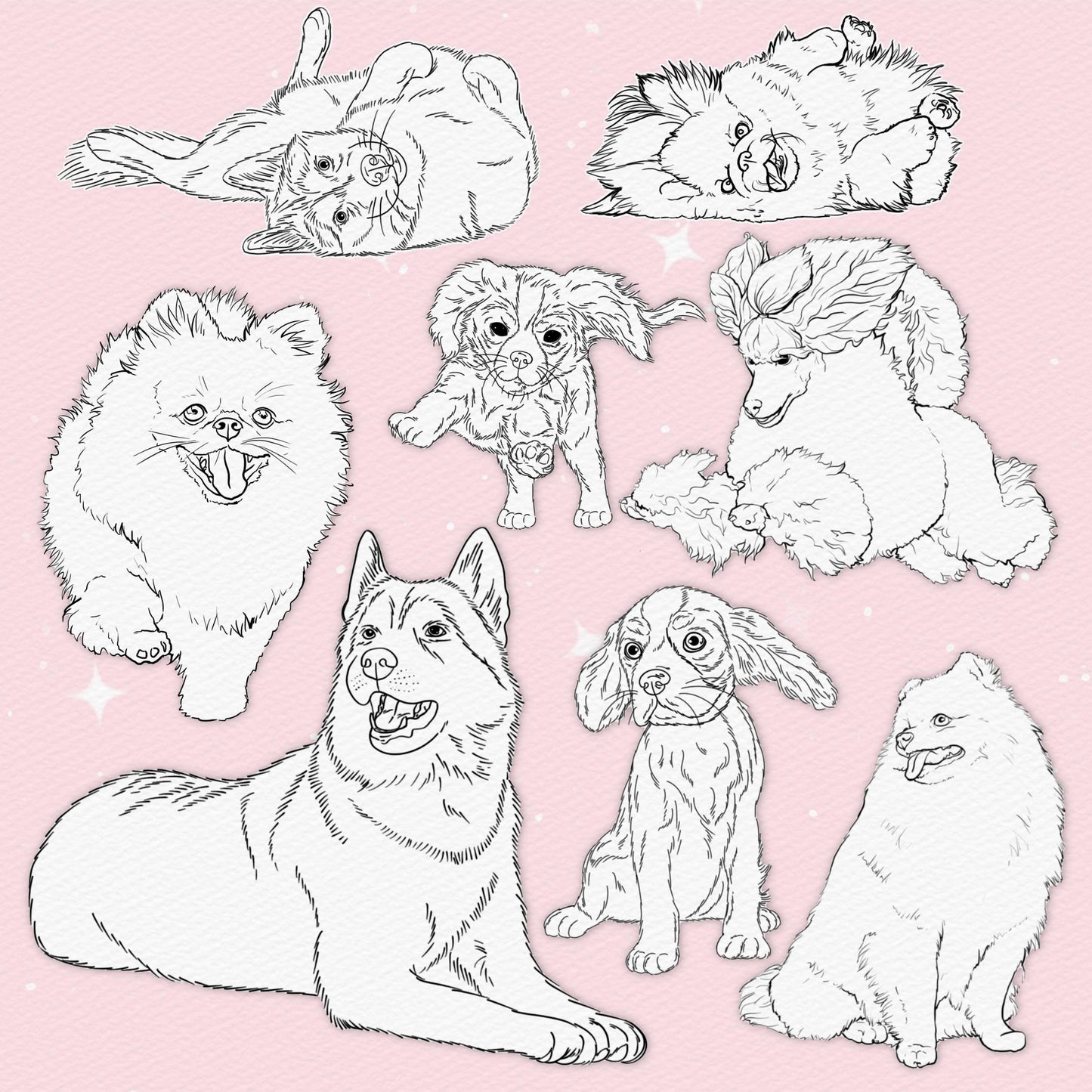 Procreate Dog Brushes – Photoshop & Clip Studio Poodle, Spitz, Husky & King Charles Brush Set