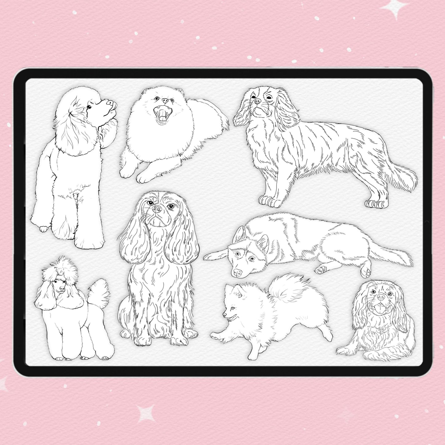 Procreate Dog Brushes – Photoshop & Clip Studio Poodle, Spitz, Husky & King Charles Brush Set