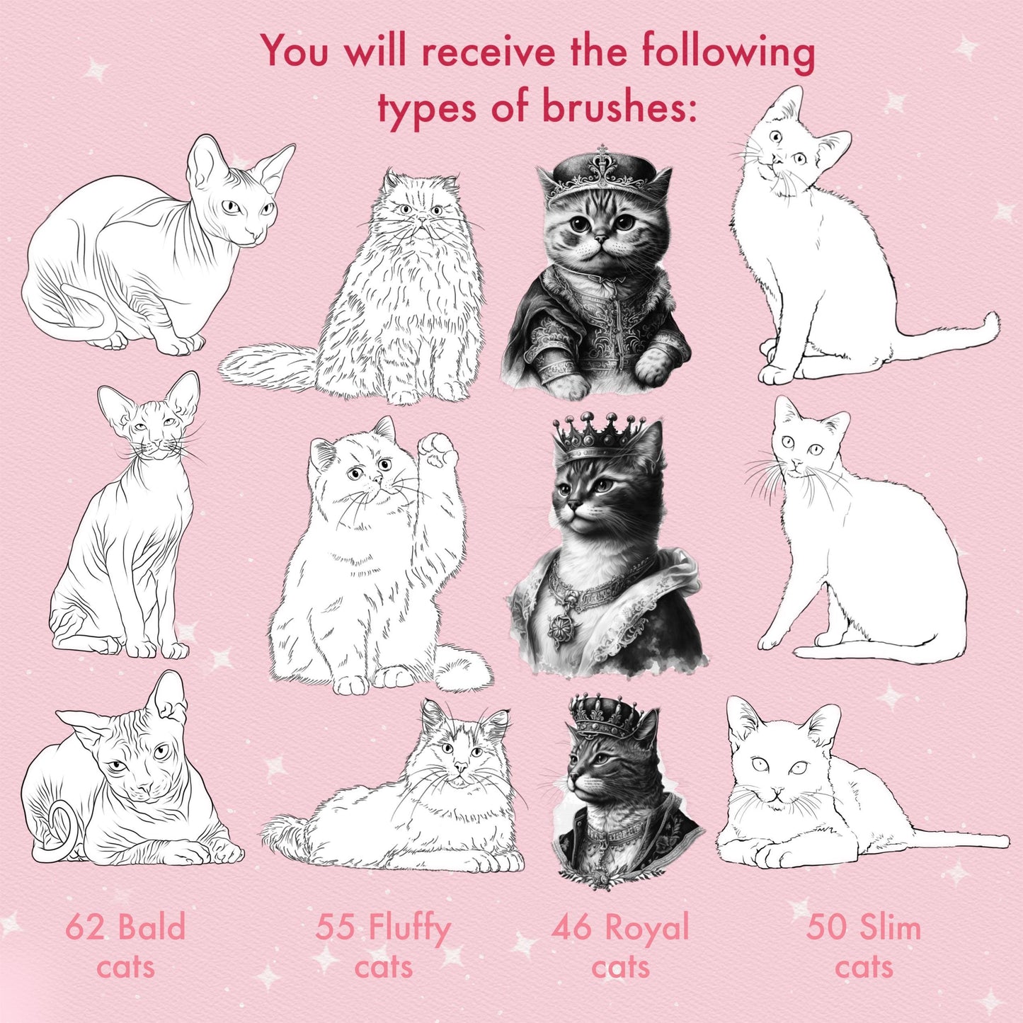 Cat Brushes for Procreate – Fluffy, Sphynx, and Cute Animal Stamps for Photoshop & Clip Studio