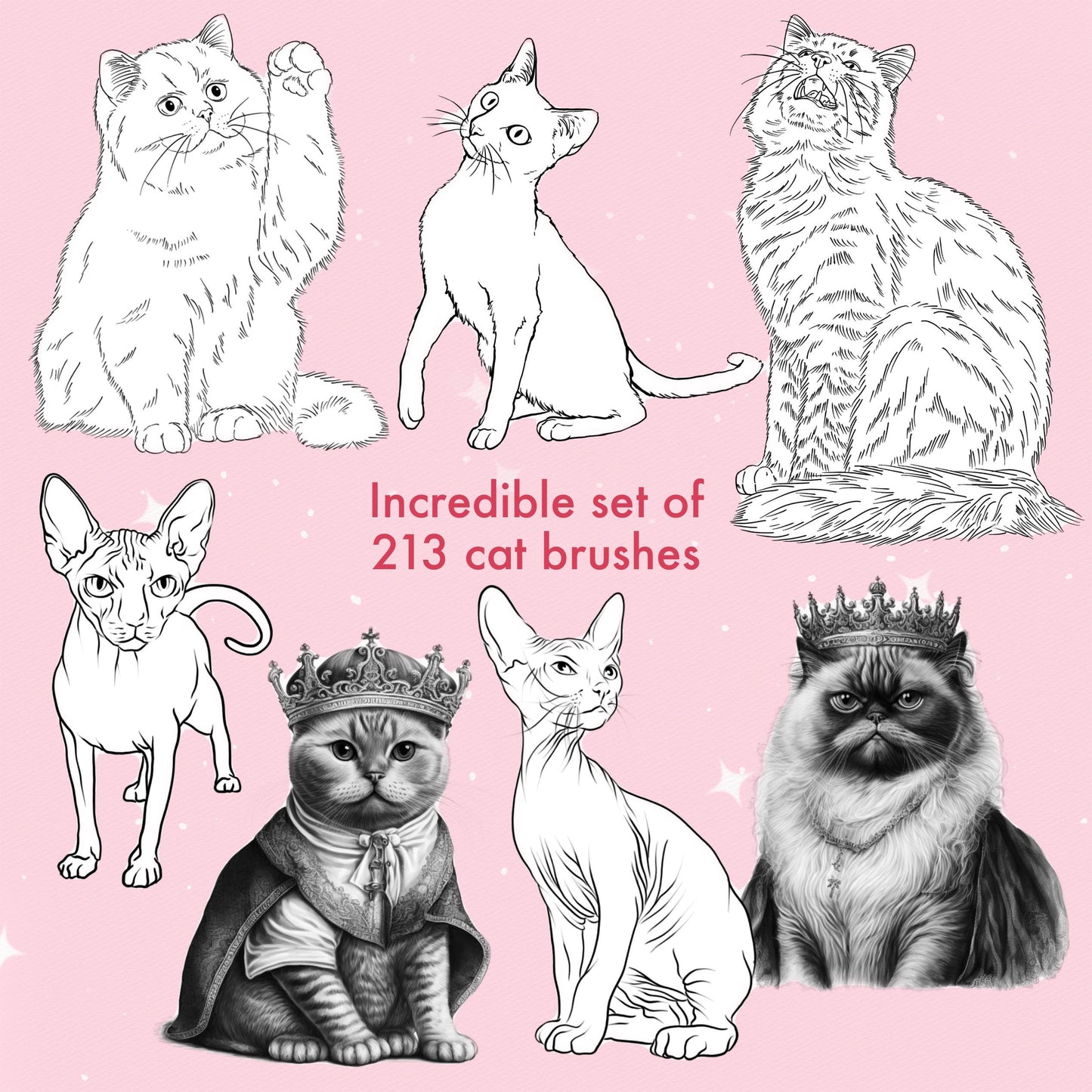 Cat Brushes for Procreate – Fluffy, Sphynx, and Cute Animal Stamps for Photoshop & Clip Studio