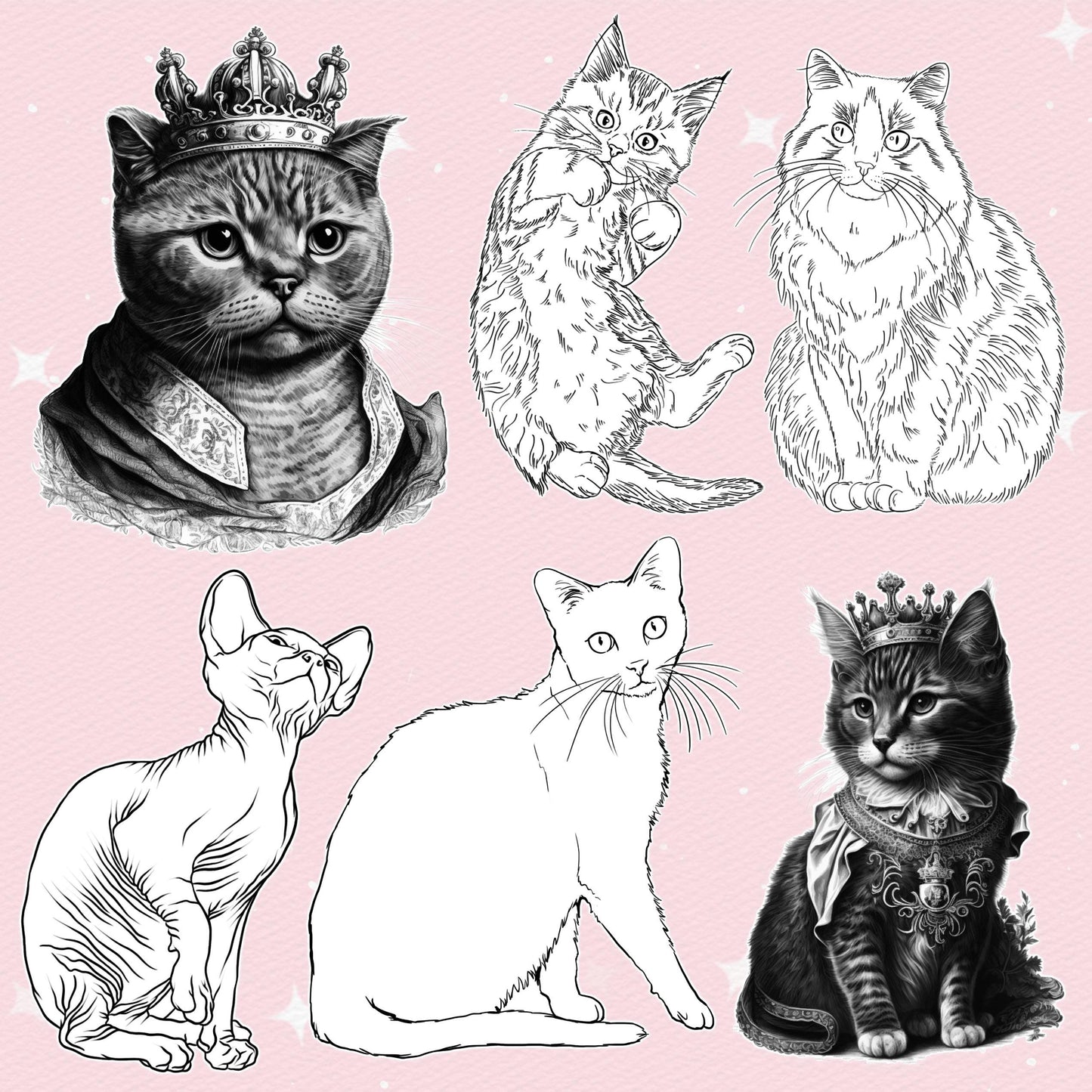 Cat Brushes for Procreate – Fluffy, Sphynx, and Cute Animal Stamps for Photoshop & Clip Studio