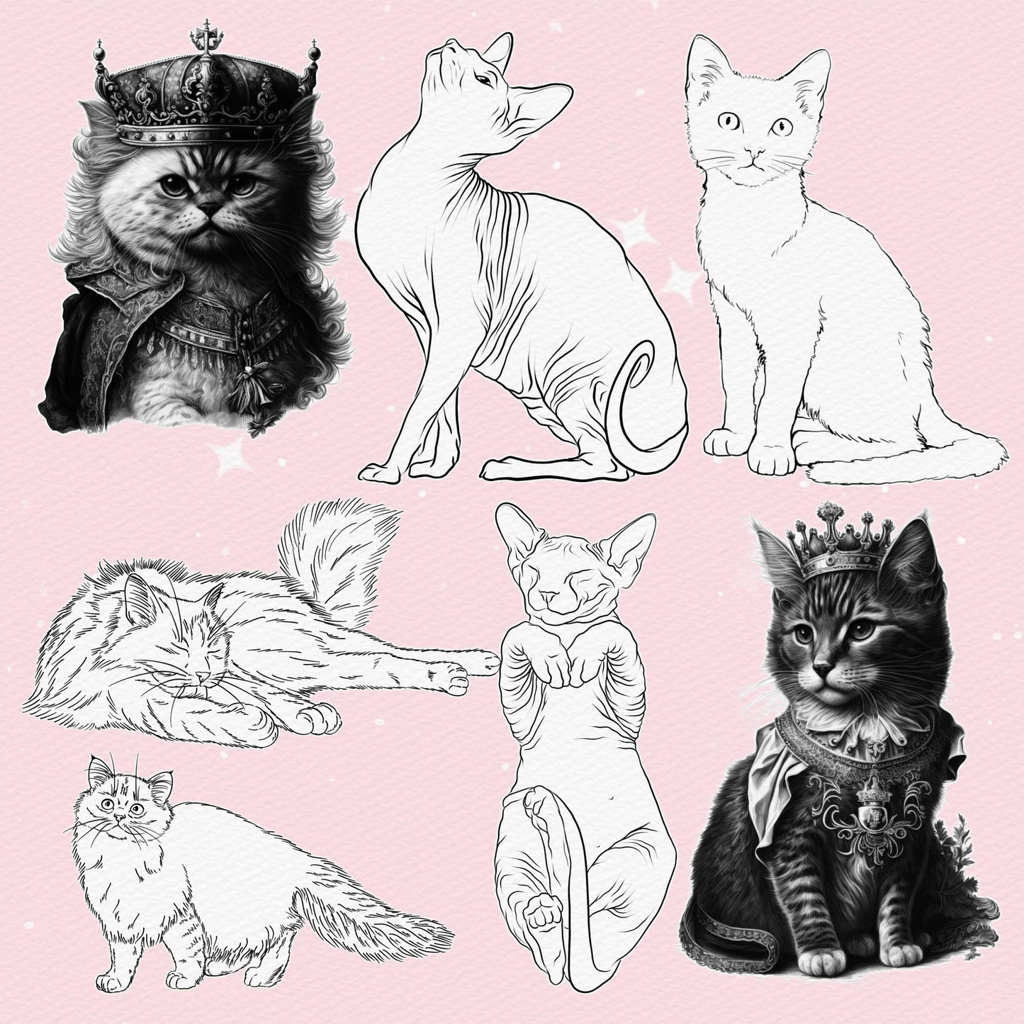 Cat Brushes for Procreate – Fluffy, Sphynx, and Cute Animal Stamps for Photoshop & Clip Studio